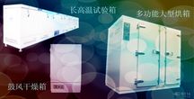 綻放2023 一一四夏令營(yíng)的成長(zhǎng)與燦爛